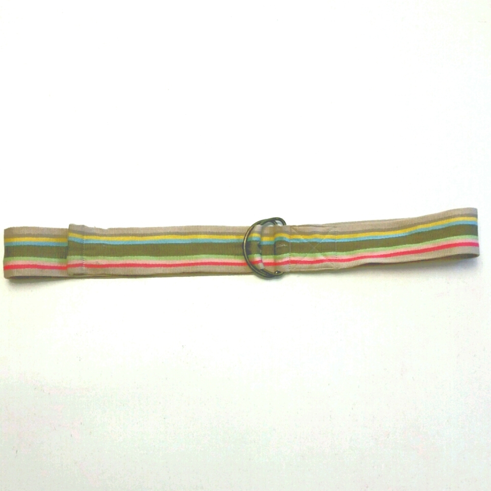 Multicolor Striped Belt